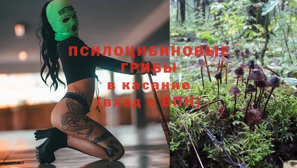 круглые Новокубанск