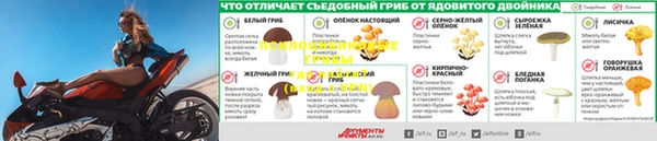 круглые Новокубанск