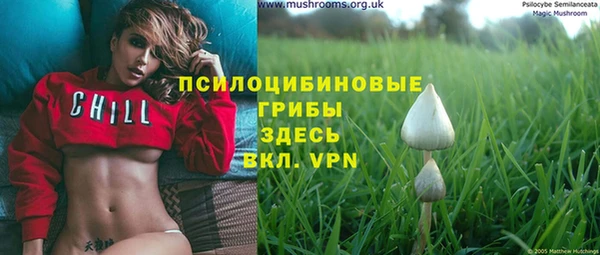 каннабис Новодвинск