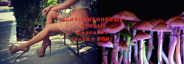 круглые Новокубанск