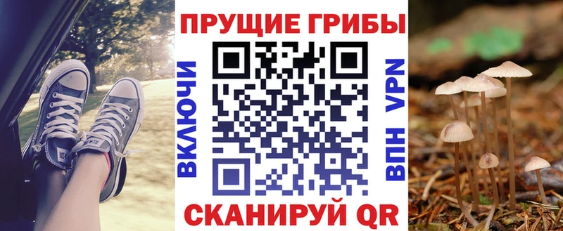 Галлюциногенные грибы GOLDEN TEACHER  купить наркоту  Монино 