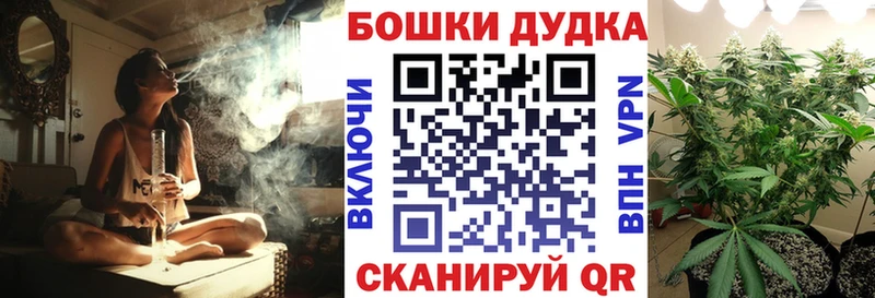 Конопля сатива  Монино 